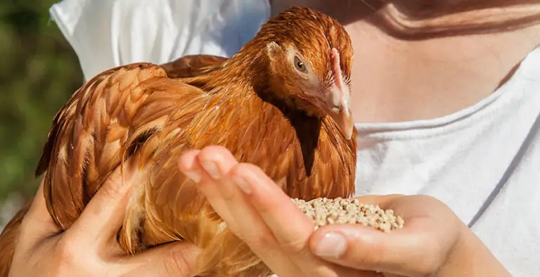 Équipe de producteurs à la Ferme de Kermaria